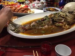 胖头鱼-张氏鱼庄