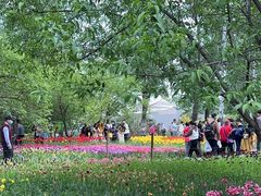 -国家植物园南园