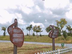 -盐城丹顶鹤湿地生态旅游区