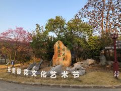 -天适樱花悠乐园