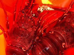 -江杨农产品批发市场