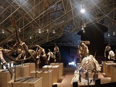 景点-世界恐龙谷景区