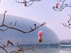 -国家大剧院