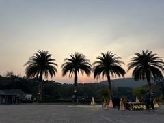 -清迈夜间动物园