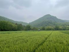 -八卦田遗址公园