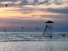 -北戴河转鱼·炒螃蟹酱餐厅