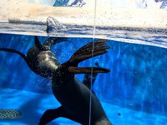 -成都浩海立方海洋公园