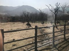 -西安秦岭野生动物园
