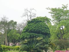 -广东花都香草世界旅游度假区
