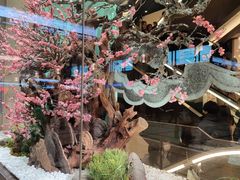 -阪急百货店(梅田总店)
