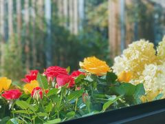 -凤来栖·净庭院·火锅(欧尚店)