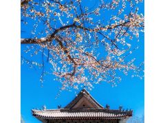 -满都海公园