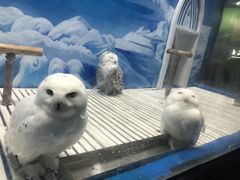 -成都浩海立方海洋公园