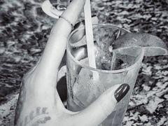 -Long Bar(莱佛士酒店)