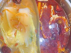 -蓉客成都火锅·招牌麻辣牛杂·特色香辣蹄花(凌水店)