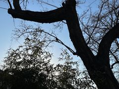 -萤火虫咖啡(后海店)