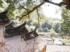-杨家堂村