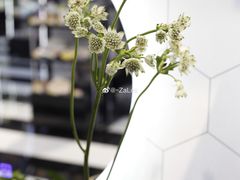 -瑞幸咖啡(洛阳正大广场店)