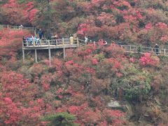 -木兰云雾山