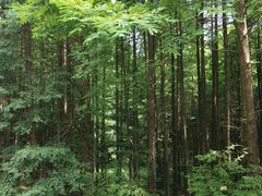 -山王坪喀斯特国家生态公园