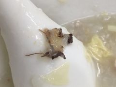 -崖口云吞(石岐店)