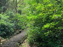 -火炉山森林公园