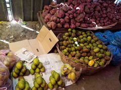 -仙本那小型鱼市