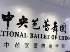 -中央芭蕾舞团·中芭艺蕾(酒仙桥明星校区)