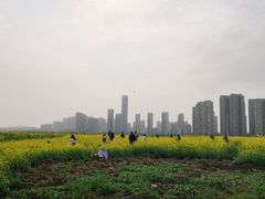 -洋湖国家湿地公园