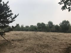 -东郊湿地公园