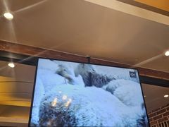 -河坝烧烤串城(金达莱店)