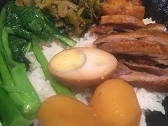 -MR鹅外
