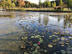 -昆山城市生态森林公园