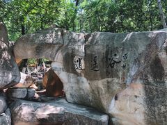 -石老人观光园