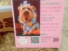 -上海长风大悦城
