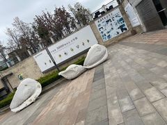 -青岛贝壳博物馆