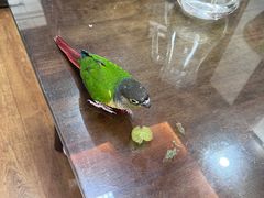 -观桥阁(锦溪店)