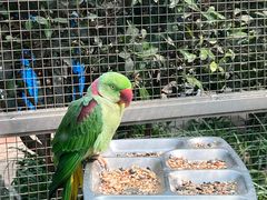 -大连森林动物园