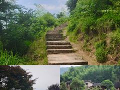 -长沙黑麋峰国家森林公园