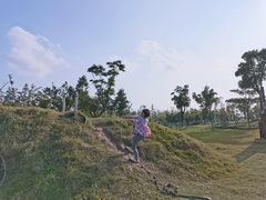 -上海长兴岛郊野公园