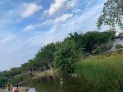 -厦门园林博览苑