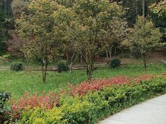 -上海佘山国家森林公园天马山园