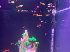 -常州海昌海洋探索馆
