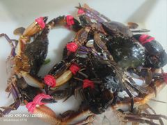 -宾朋海鲜饭庄(兴海路店)