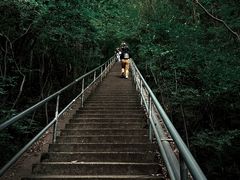 -惠山国家森林公园