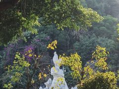 景点-金鸡山公园