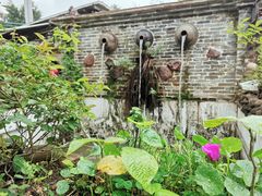 -园林美食城·本土农家菜(杨和镇店)