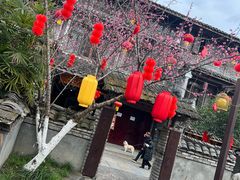 -黄龙溪古镇