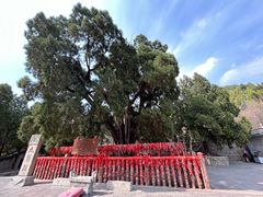 -四门塔风景区