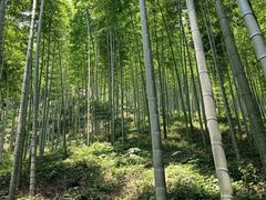 -黄公望隐居地